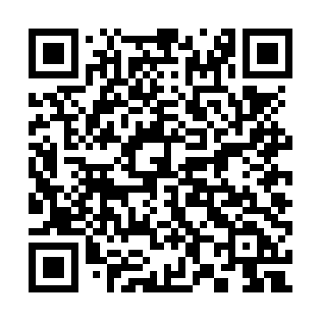 QR code for 384NTD