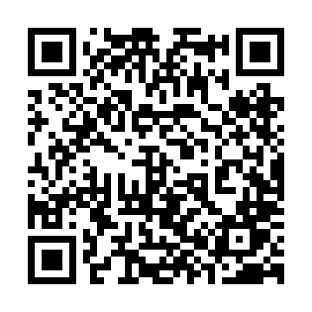 QR code for 384RLT