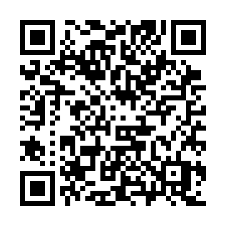 QR code for 384SJT