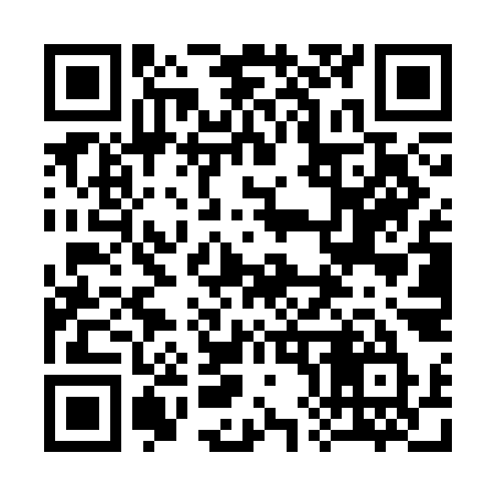 QR code for 384SKU