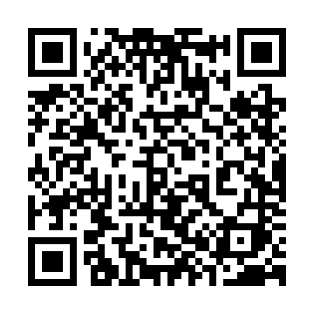 QR code for 384SNI