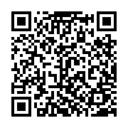 QR code for 384SOT