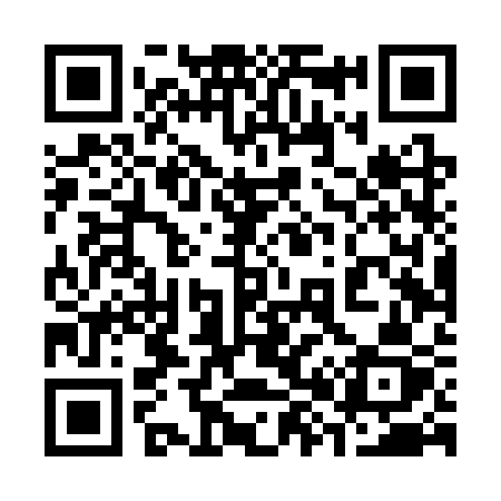 QR code for 384SSZ