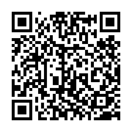QR code for 384TAP