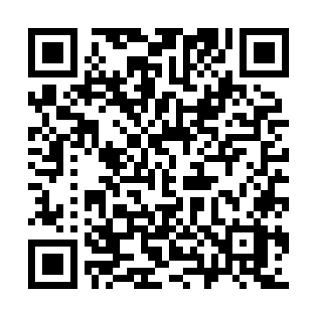 QR code for 384XOX
