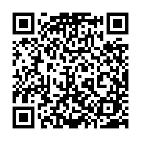 QR code for 384ZTM