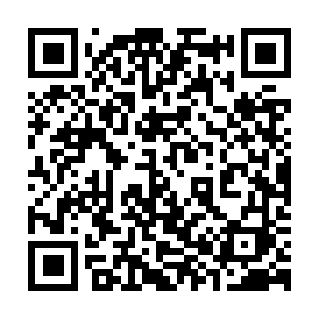 QR code for 384ZVI