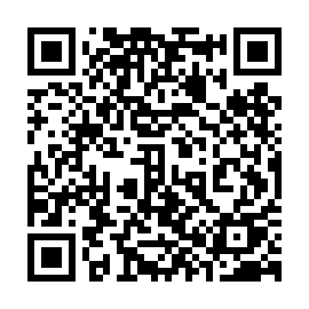 QR code for 385DAU