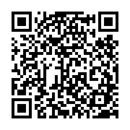QR code for 385DLM