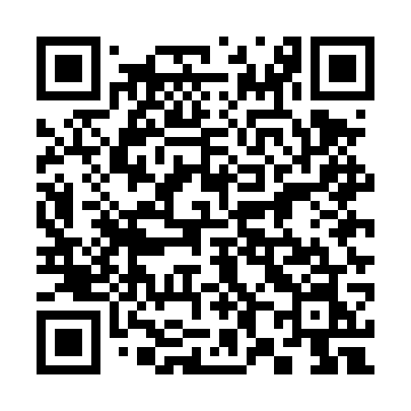 QR code for 385DWN