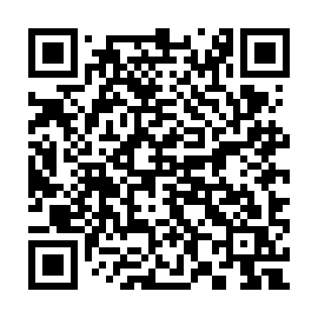 QR code for 385FIS
