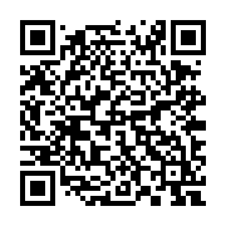 QR code for 385TIZ