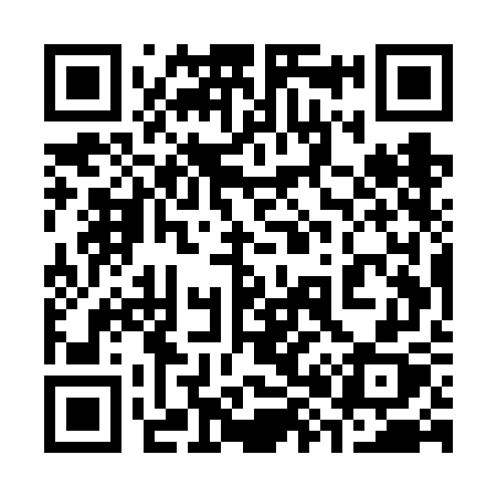 QR code for 385VGX