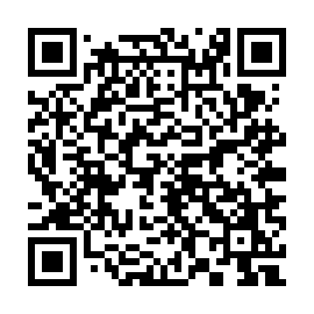 QR code for 385VMO