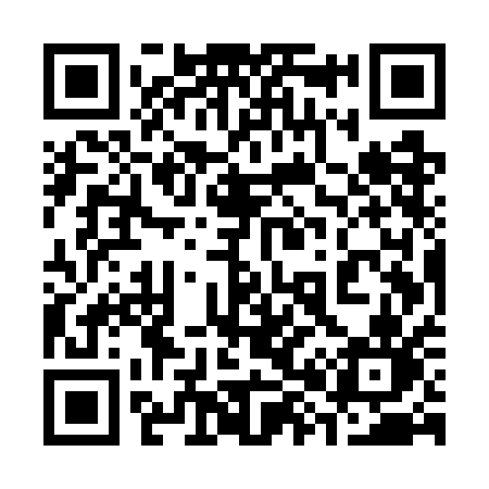 QR code for 385WAN