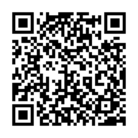 QR code for 385ZZS
