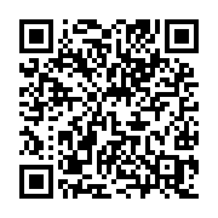 QR code for 386IIC