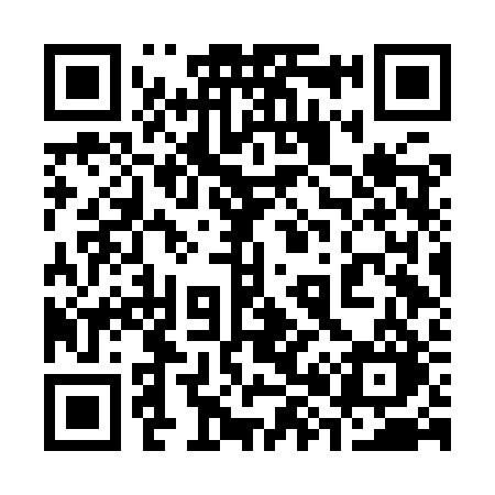 QR code for 386IRO