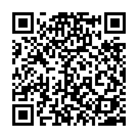 QR code for 386JGI