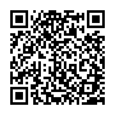 QR code for 386OLI