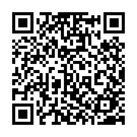 QR code for 386PPO