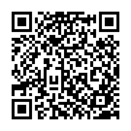 QR code for 386PUN