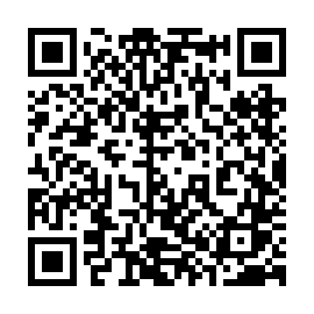 QR code for 386RDS