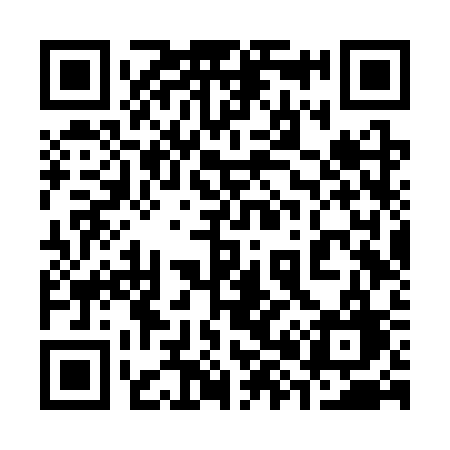 QR code for 386SSG