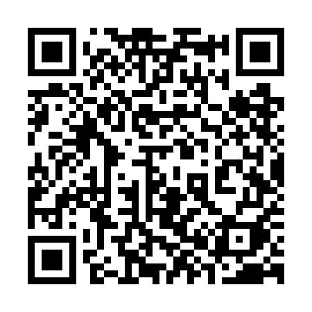 QR code for 386WEI