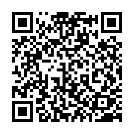 QR code for 387APX