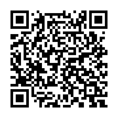 QR code for 387AVL