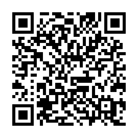 QR code for 387IFE
