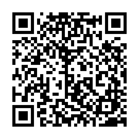 QR code for 387INL