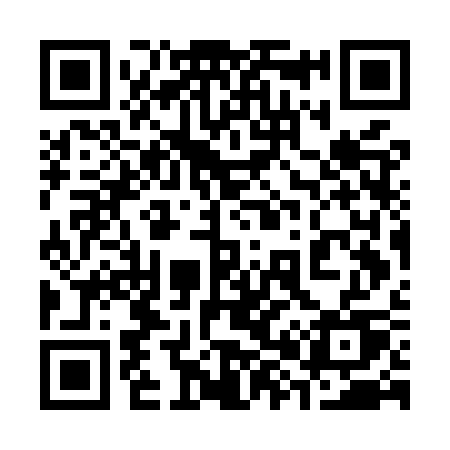 QR code for 387MSU