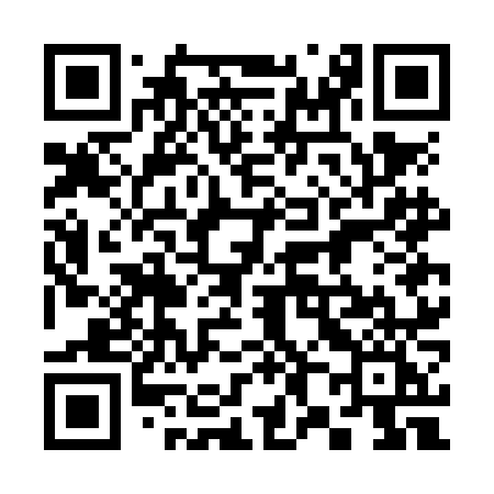 QR code for 387NNI