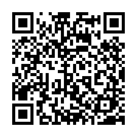 QR code for 387PNM