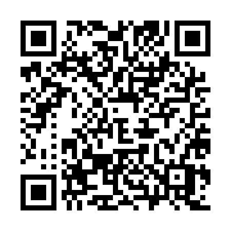 QR code for 387QHV