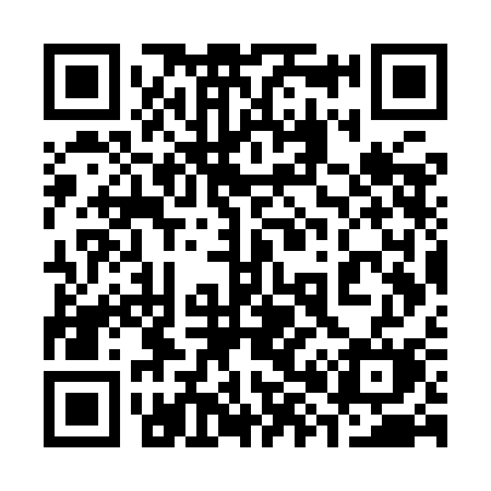 QR code for 387YCM