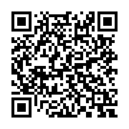 QR code for 388MSX