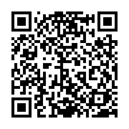 QR code for 389CSK