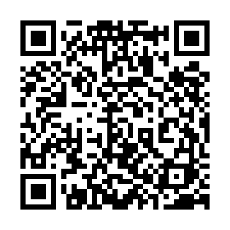 QR code for 389EFI
