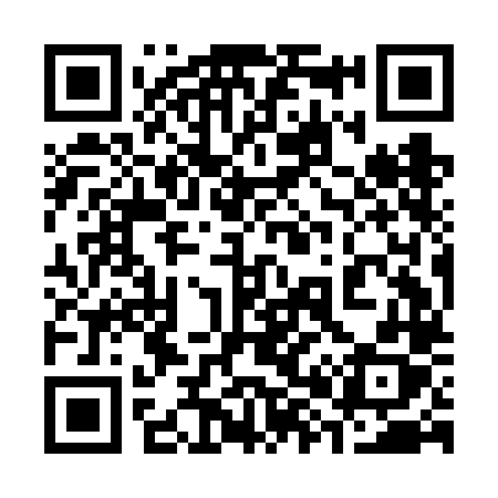 QR code for 389FLX