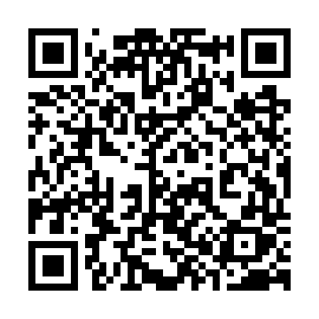 QR code for 389GTX