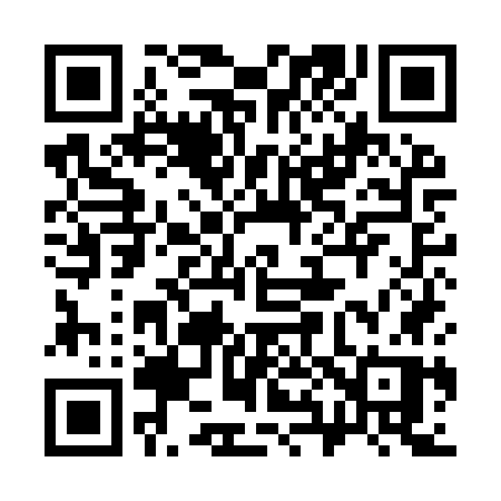 QR code for 389IWP