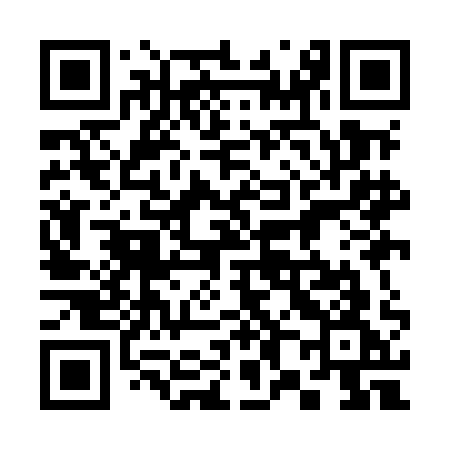 QR code for 389MAG