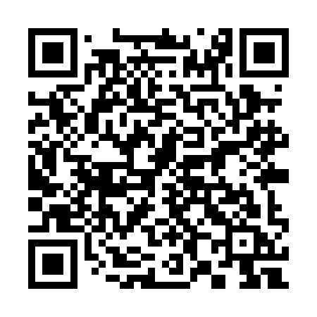 QR code for 389PIC