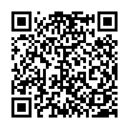 QR code for 389PQP