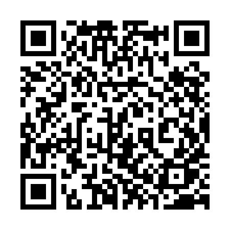 QR code for 389QHP