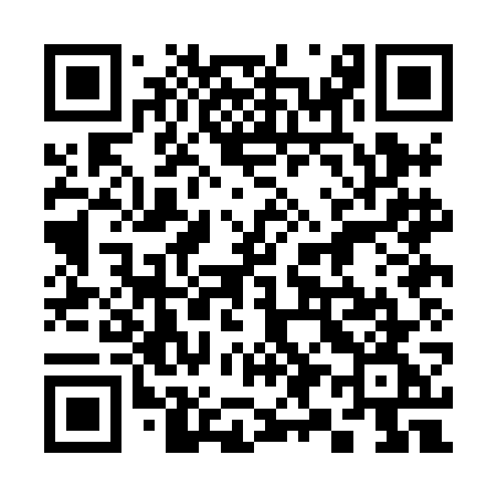QR code for 390HGG