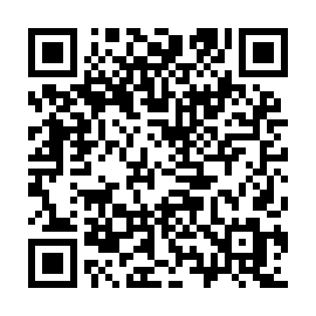 QR code for 390IDM